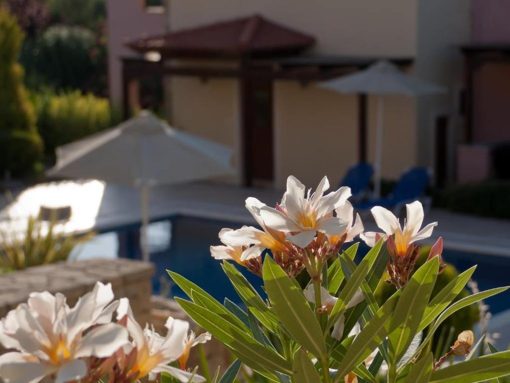Eligia Villas Mixórrouma Chambre photo